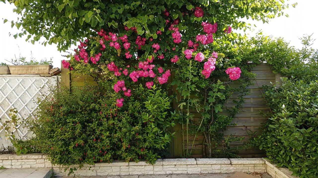 Liz'A Logis De Charme Villa Saint-Côme-de-Fresné Dış mekan fotoğraf